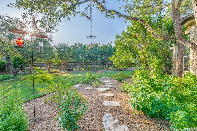 31763 Scarteen, Fair Oaks Ranch, TX 78015 - view of yard