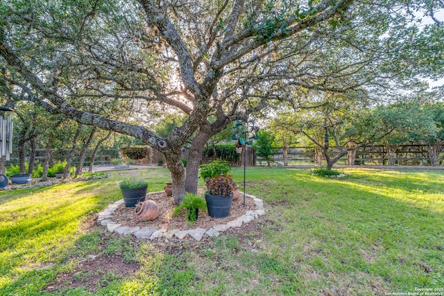 31763 Scarteen, Fair Oaks Ranch, TX 78015 - view of yard