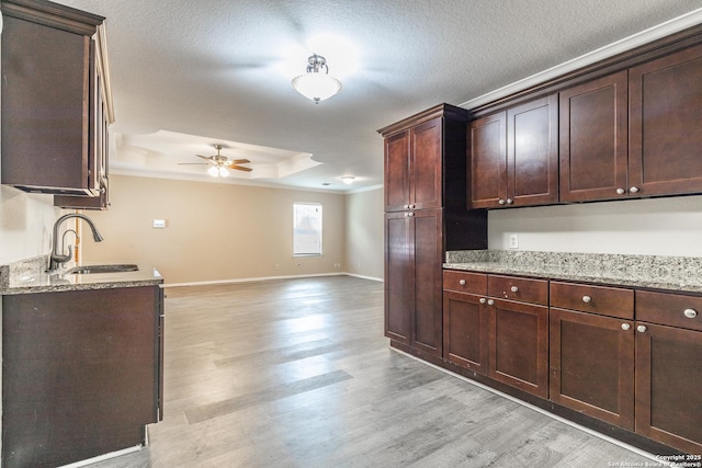 3613 Candleridge, San Antonio, TX 78244 - kitchen featuring a sink, ornamental molding, light wood-style floors, ceiling fan, and dark brown cabinets