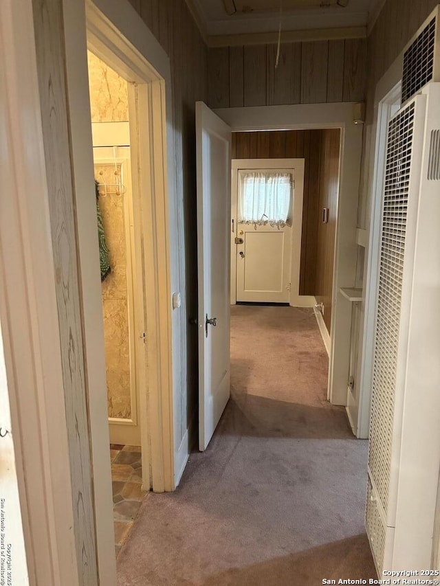 1927 Lee Hall, San Antonio, TX 78201 - hallway featuring a heating unit and carpet flooring