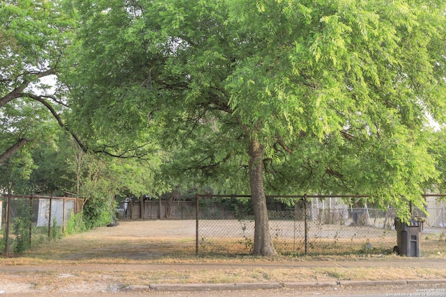 418 Cavalier, San Antonio, TX 78225 - view of yard