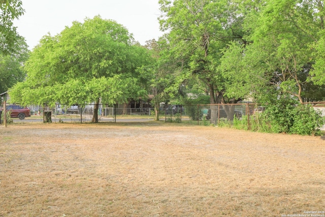 418 Cavalier, San Antonio, TX 78225 - view of yard