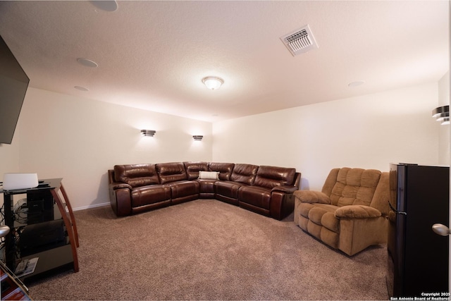 7207 Independence Way, San Antonio, TX 78223 - view of carpeted living room