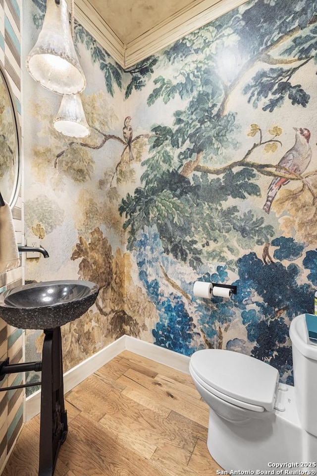 159 Inspiration, Fredericksburg, TX 78624 - bathroom with toilet, wood finished floors, baseboards, ornamental molding, and a sink