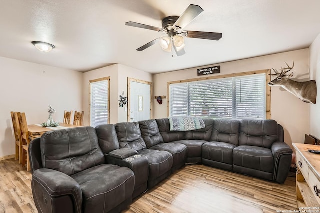 258 S Live Oak, New Braunfels, TX 78130 - living room with light wood-type flooring and ceiling fan