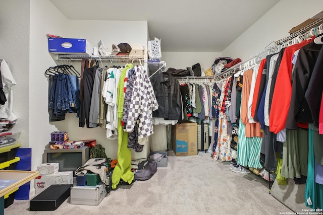 12855 Cygnus, San Antonio, TX 78245 - walk in closet with carpet