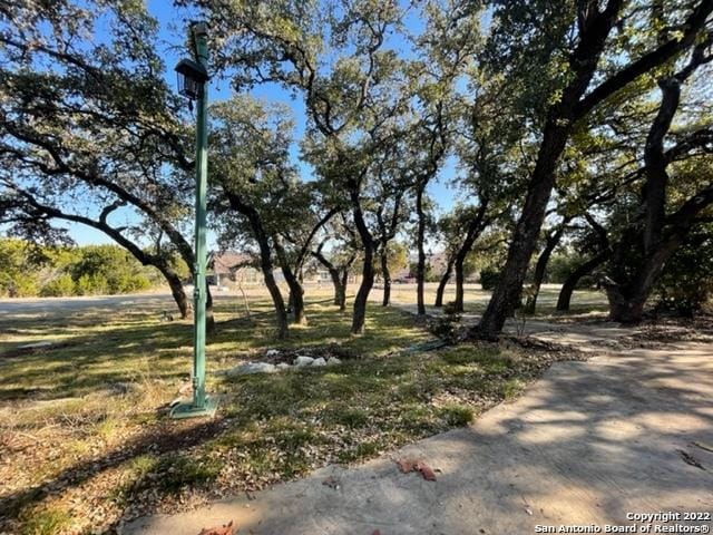 1071 Diamondhead Dr, Canyon Lake, TX 78133 - view of yard