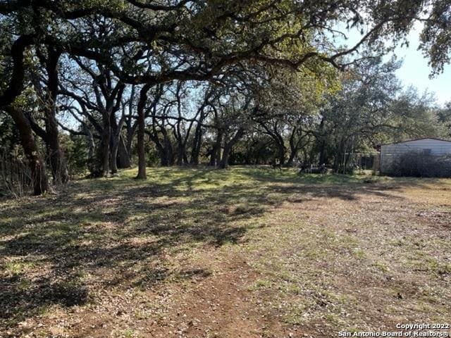 1071 Diamondhead Dr, Canyon Lake, TX 78133 - view of yard