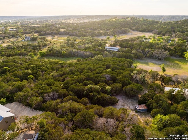 231 Doris Dr, Kerrville, TX 78028 - aerial view of a forest