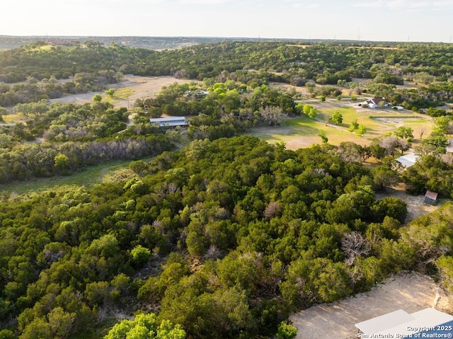 231 Doris Dr, Kerrville, TX 78028 - aerial view of a forest