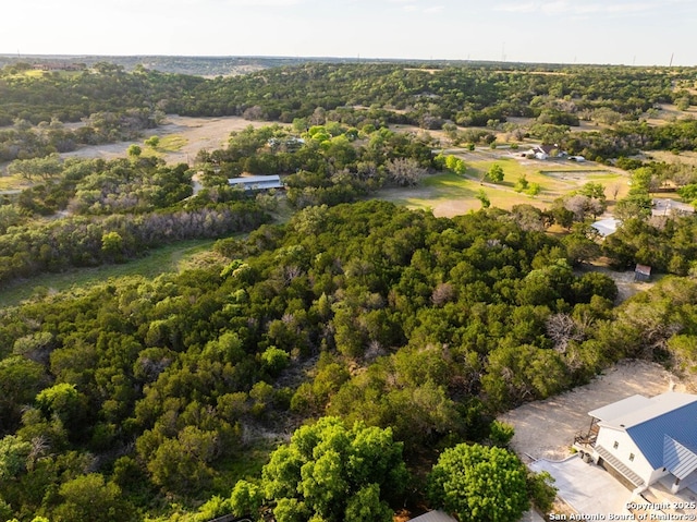 231 Doris Dr, Kerrville, TX 78028 - aerial view of a forest