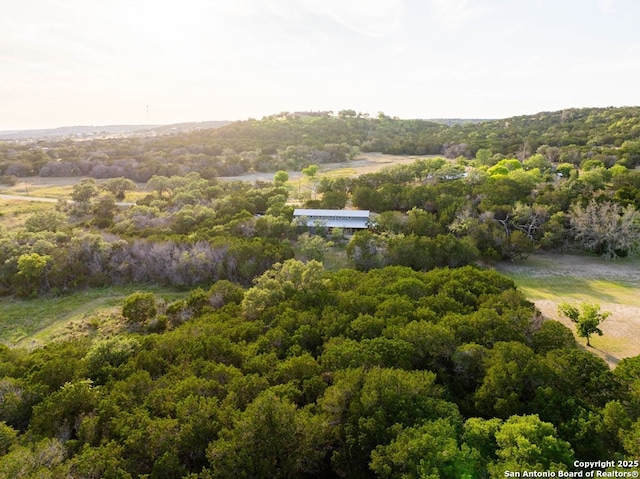 231 Doris Dr, Kerrville, TX 78028 - aerial view of a heavily wooded area