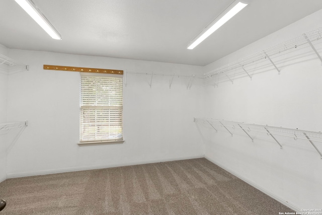 18719 Needle Rock, San Antonio, TX 78258 - spacious closet featuring carpet floors