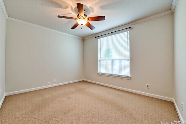 12406 Prince Solms, San Antonio, TX 78253 - spare room with ornamental molding, ceiling fan, light carpet, and baseboards