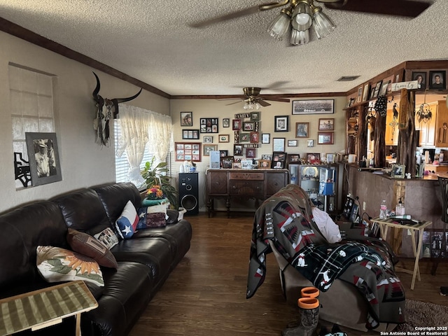 7084 Richter, Elmendorf, TX 78112 - living area with ceiling fan, dark wood-style flooring, a textured ceiling, and crown molding