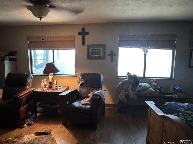 7084 Richter, Elmendorf, TX 78112 - living area featuring wood-type flooring and a textured ceiling