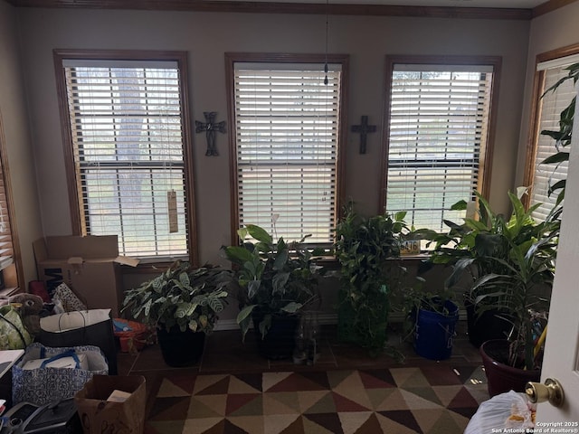 7084 Richter, Elmendorf, TX 78112 - view of dining room