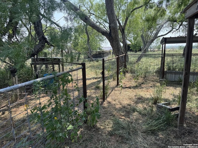7084 Richter, Elmendorf, TX 78112 - view of yard