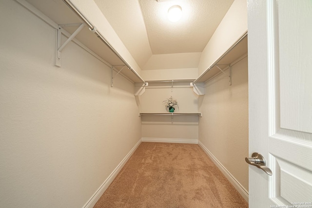 12827 Sabinal Riv, San Antonio, TX 78253 - spacious closet with light colored carpet