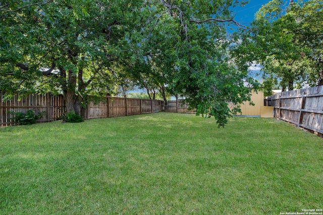 6723 Hickory Springs Dr, San Antonio, TX 78249 - view of yard