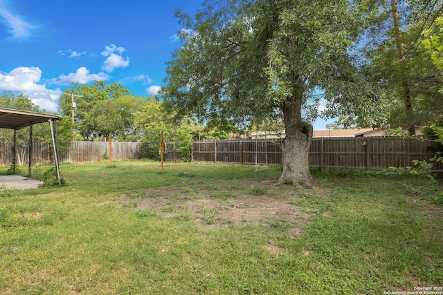 4503 Tropical, San Antonio, TX 78218 - view of yard