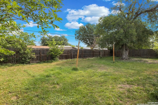 4503 Tropical, San Antonio, TX 78218 - view of yard