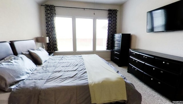 8922 Trail Dust, San Antonio, TX 78254 - bedroom featuring light carpet