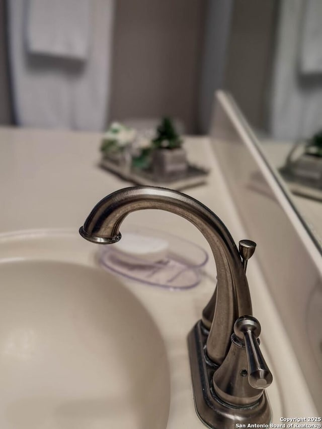 228 Long Crk, New Braunfels, TX 78130 - detailed view of a sink