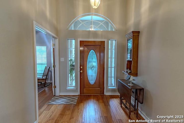228 Long Crk, New Braunfels, TX 78130 - foyer entrance featuring plenty of natural light, wood finished floors, a towering ceiling, and baseboards