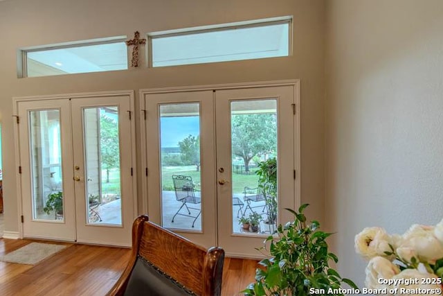228 Long Crk, New Braunfels, TX 78130 - doorway to outside featuring french doors and light wood finished floors