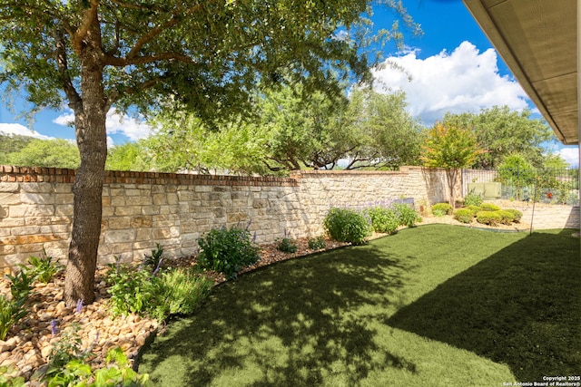 17 Denbury, San Antonio, TX 78257 - view of yard
