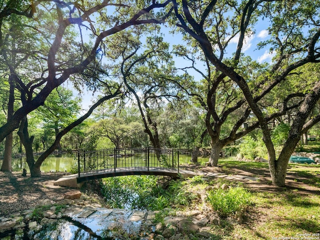 100 Tomahawk Hl, Country Village, TX 78232 - view of yard