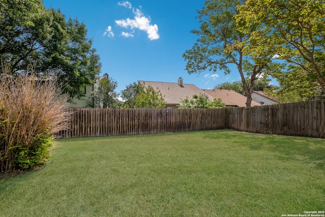 8314 Morning Grv, Converse, TX 78109 - view of yard