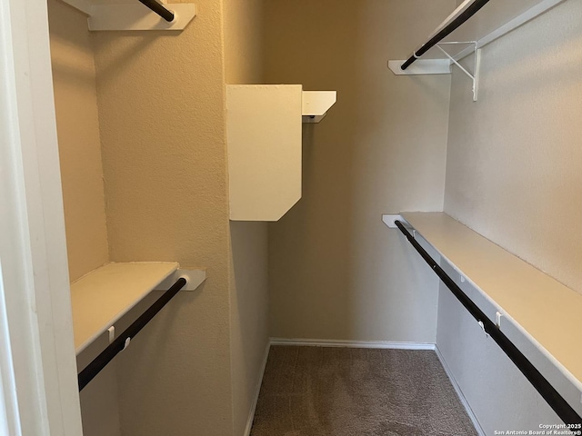 12242 Bening Vly, Schertz, TX 78154 - walk in closet featuring dark carpet