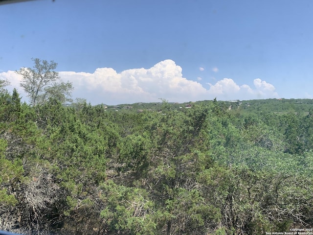 1076 Eastview, Canyon Lake, TX 78133 - view of mountain background featuring a heavily wooded area