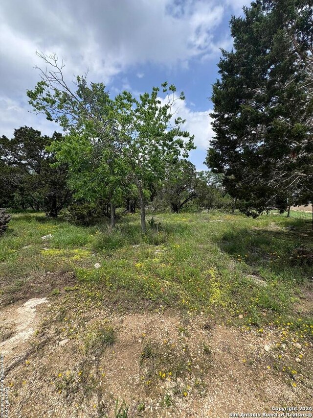 248 Wren Cir, Spring Branch, TX 78070