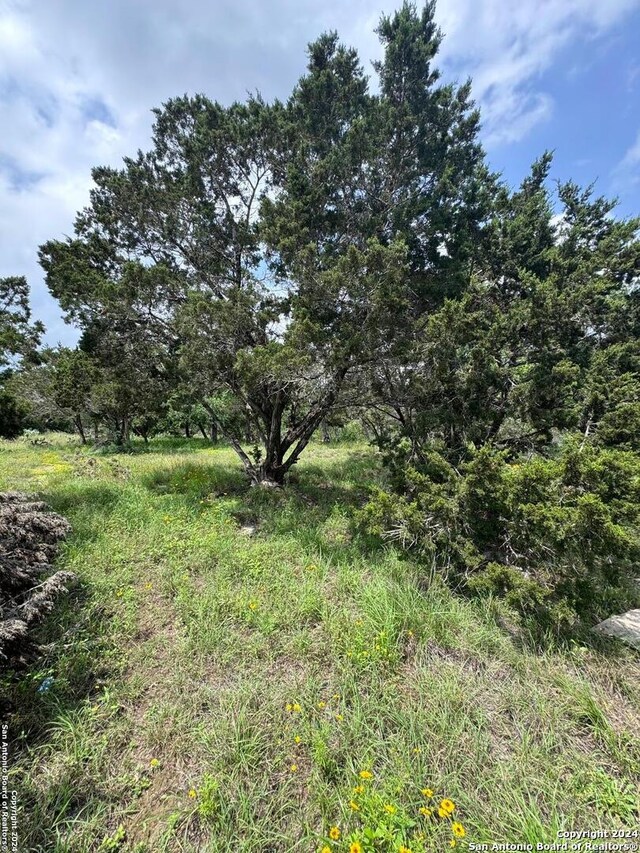 248 Wren Cir, Spring Branch, TX 78070