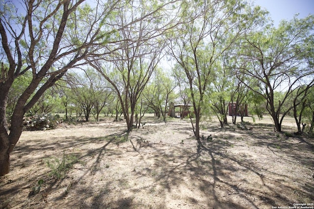 1556 County Road 2537, Moore, TX 78057 - view of yard
