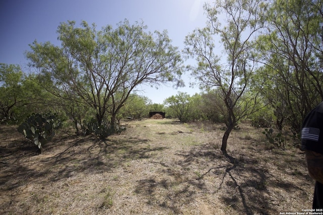 1556 County Road 2537, Moore, TX 78057 - view of yard