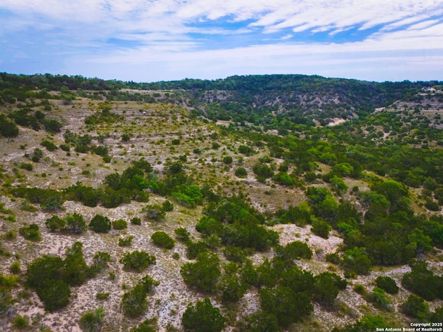1231 Montell, Wimberley, TX 78676 - view of mountain backdrop