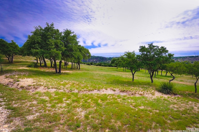 1231 Montell, Wimberley, TX 78676 - view of yard with a view of rural / pastoral area