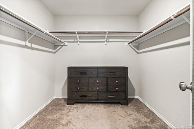 7207 Lincoln Trce, San Antonio, TX 78222 - spacious closet with light carpet