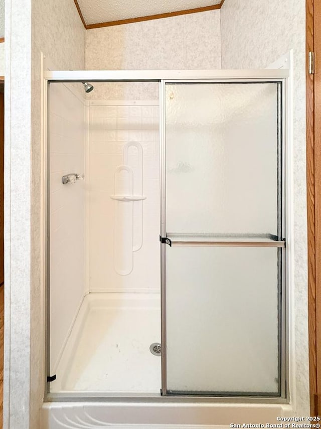 1185 County Road 7718, Devine, TX 78016 - full bath featuring a shower stall and crown molding