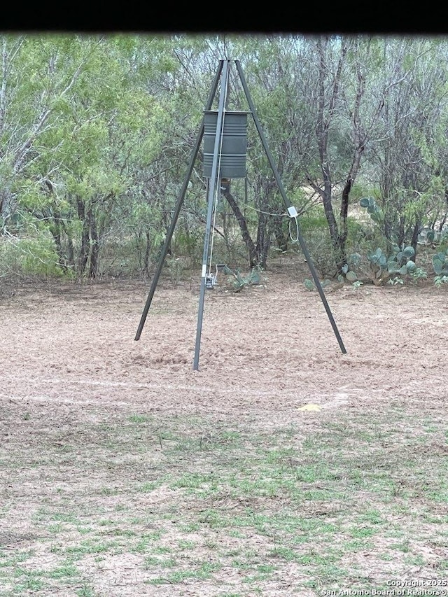 1185 County Road 7718, Devine, TX 78016 - view of yard featuring a playground