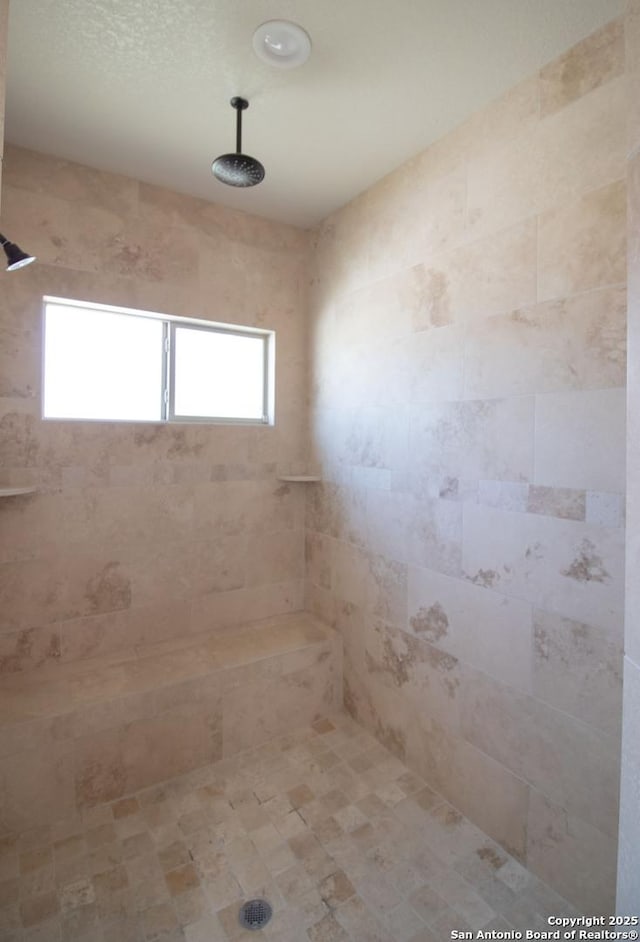 2516 County Road 357, La Vernia, TX 78121 - full bath featuring tiled shower