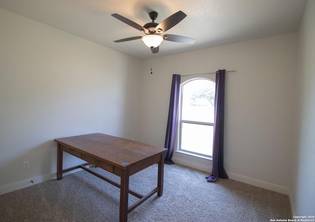 2516 County Road 357, La Vernia, TX 78121 - home office featuring light colored carpet, ceiling fan, and baseboards