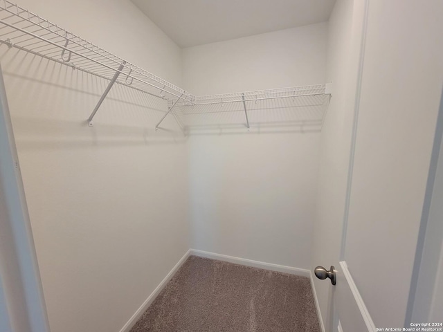 15107 Telfaire Mdw, Von Ormy, TX 78073 - walk in closet featuring carpet flooring