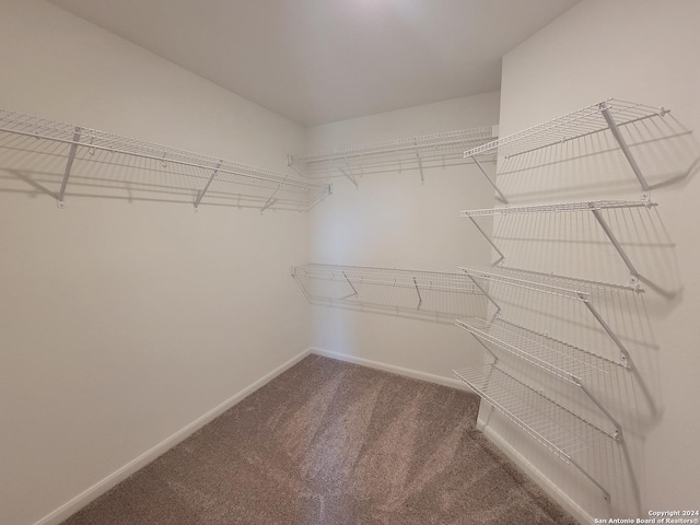 15107 Telfaire Mdw, Von Ormy, TX 78073 - walk in closet featuring carpet flooring