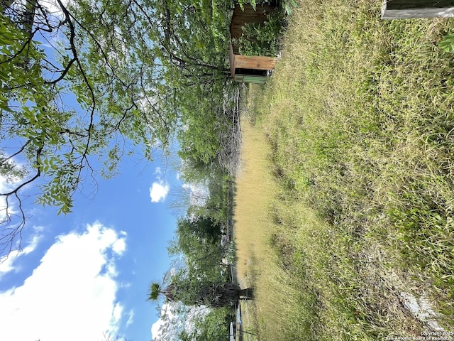726 Price, San Antonio, TX 78211 - view of yard
