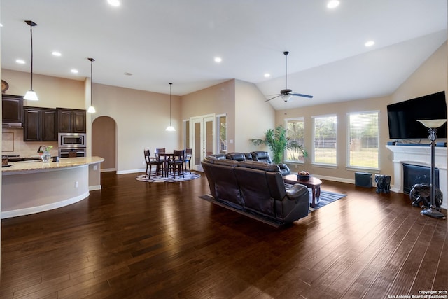 364 Stone Trl, Castroville, TX 78009 - living area featuring arched walkways, a fireplace, dark wood-style floors, baseboards, and high vaulted ceiling